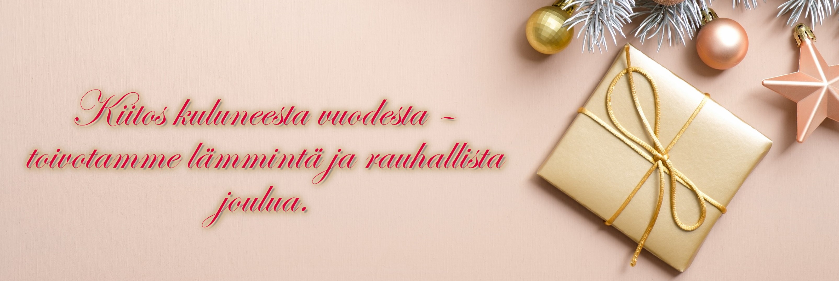 Kiitos kuluneesta vuodesta – toivotamme lämmintä ja rauhallista joulua.